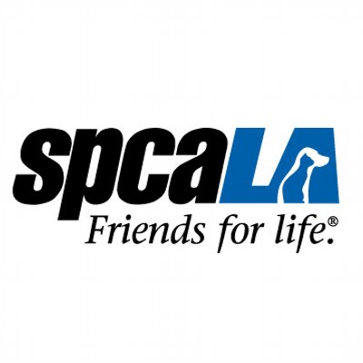 spcaLA South Bay Pet Adoption Center