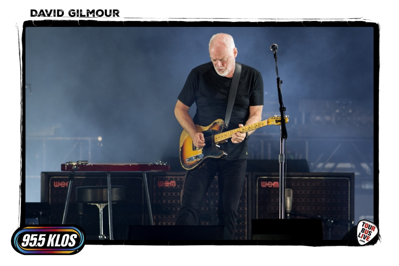 David-Gilmour_000