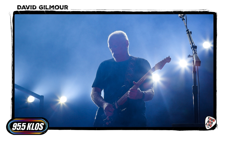 David-Gilmour_035