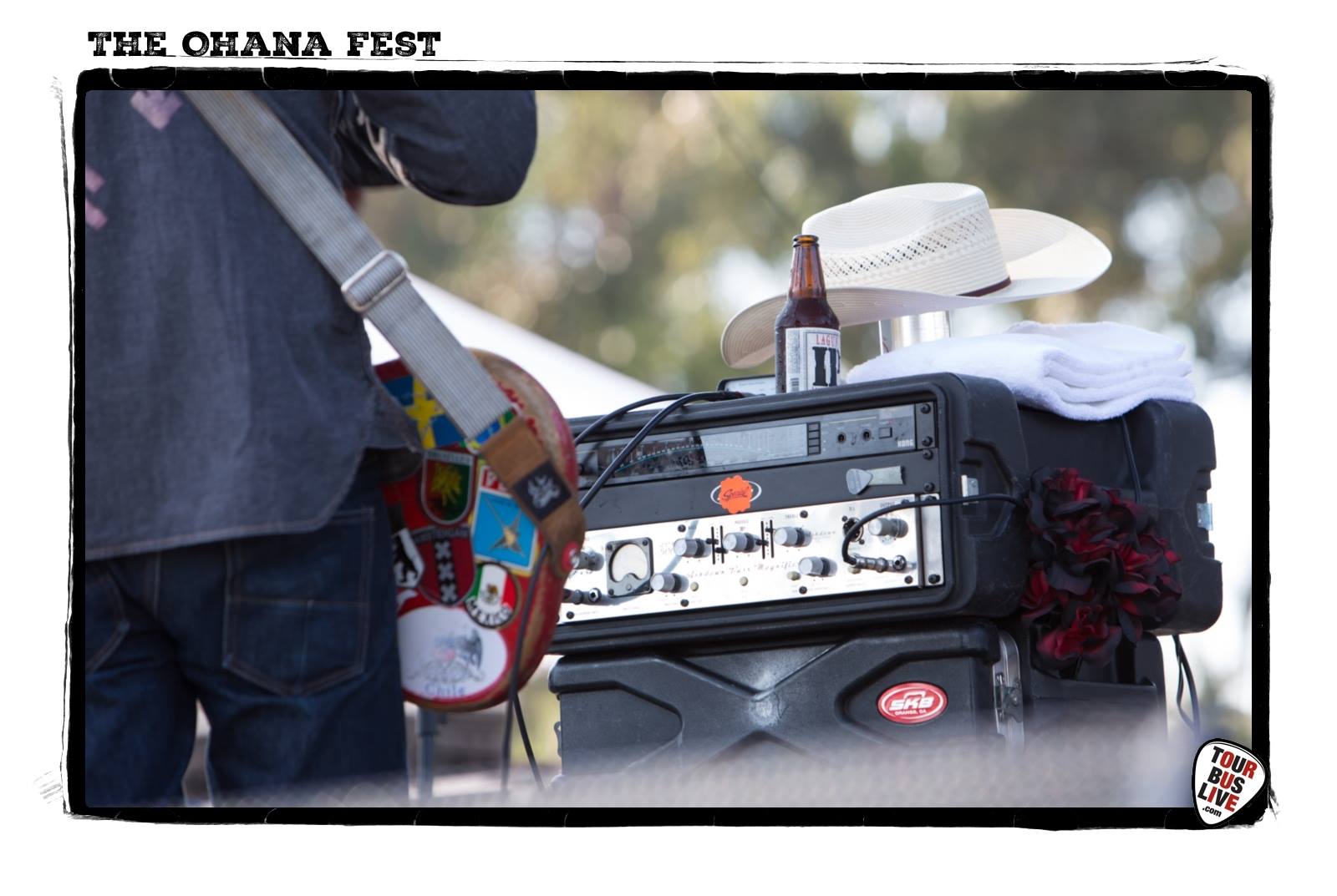 Ohana Fest (26)